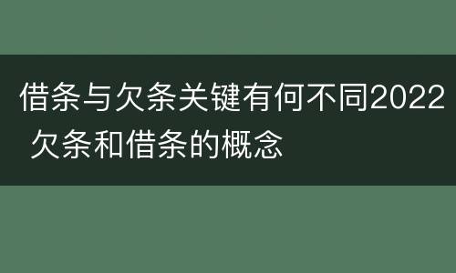 借条与欠条关键有何不同2022 欠条和借条的概念