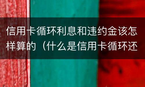 信用卡循环利息和违约金该怎样算的（什么是信用卡循环还款）