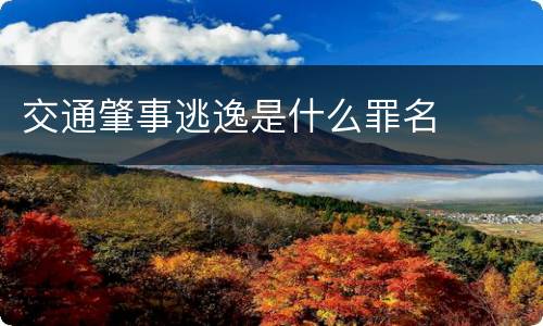 交通肇事逃逸是什么罪名