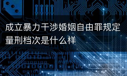 成立暴力干涉婚姻自由罪规定量刑档次是什么样