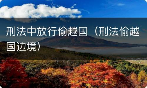 刑法中放行偷越国（刑法偷越国边境）