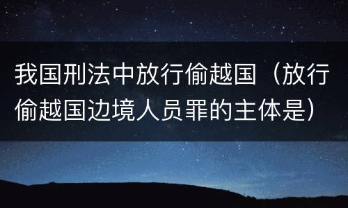 我国刑法中放行偷越国（放行偷越国边境人员罪的主体是）