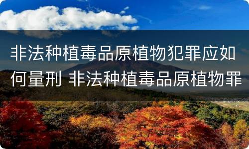 非法种植毒品原植物犯罪应如何量刑 非法种植毒品原植物罪量刑标准