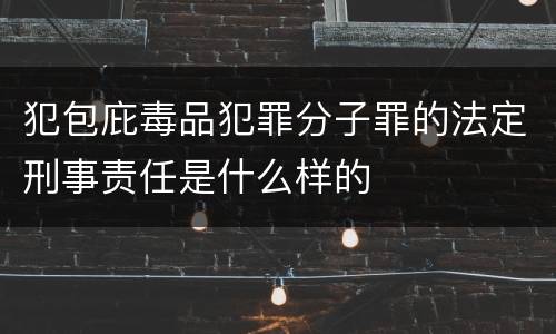 犯包庇毒品犯罪分子罪的法定刑事责任是什么样的