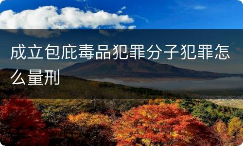 成立包庇毒品犯罪分子犯罪怎么量刑
