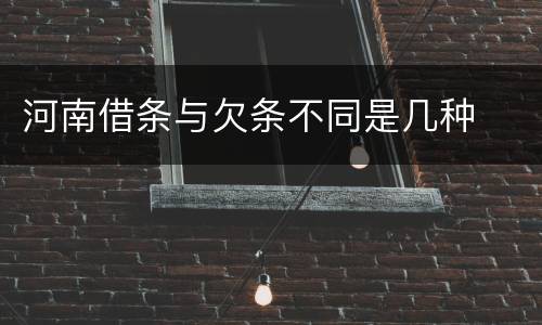 河南借条与欠条不同是几种