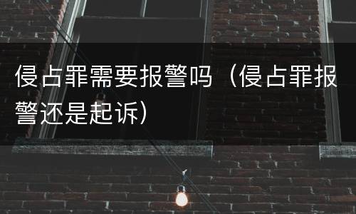 侵占罪需要报警吗（侵占罪报警还是起诉）