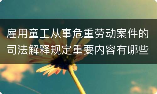 雇用童工从事危重劳动案件的司法解释规定重要内容有哪些