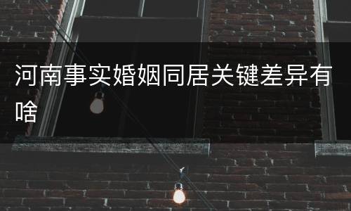 河南事实婚姻同居关键差异有啥
