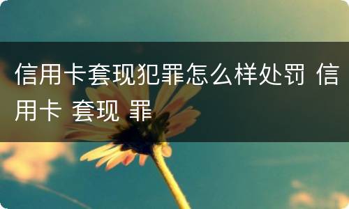 信用卡套现犯罪怎么样处罚 信用卡 套现 罪