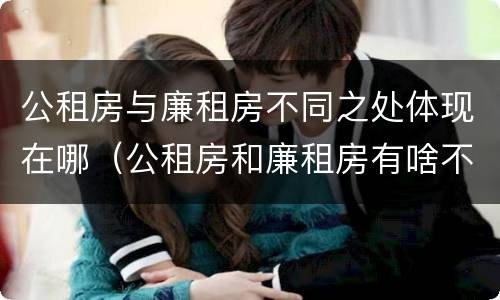 公租房与廉租房不同之处体现在哪（公租房和廉租房有啥不同）