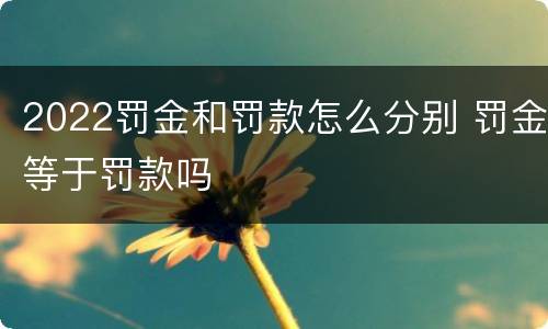 2022罚金和罚款怎么分别 罚金等于罚款吗