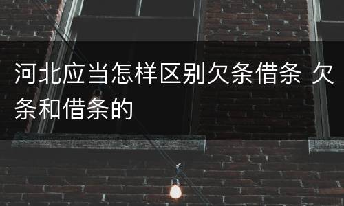 河北应当怎样区别欠条借条 欠条和借条的