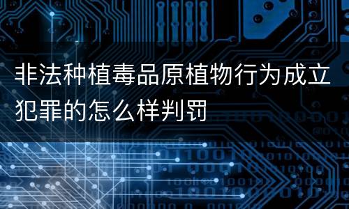 非法种植毒品原植物行为成立犯罪的怎么样判罚