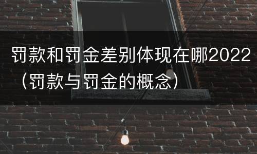 罚款和罚金差别体现在哪2022（罚款与罚金的概念）