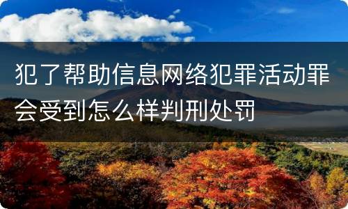犯了帮助信息网络犯罪活动罪会受到怎么样判刑处罚