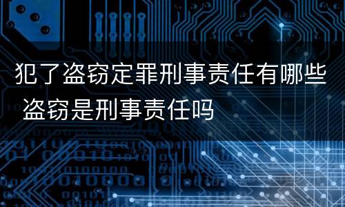 犯了盗窃定罪刑事责任有哪些 盗窃是刑事责任吗