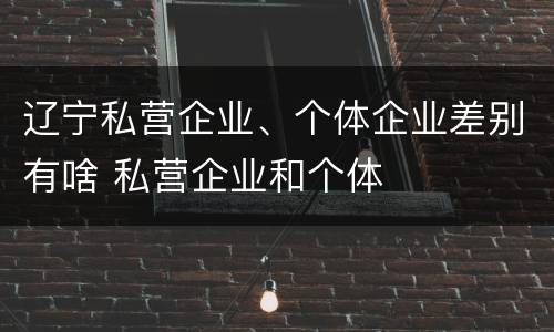 辽宁私营企业、个体企业差别有啥 私营企业和个体