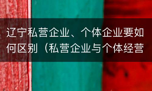 辽宁私营企业、个体企业要如何区别（私营企业与个体经营企业的区别）
