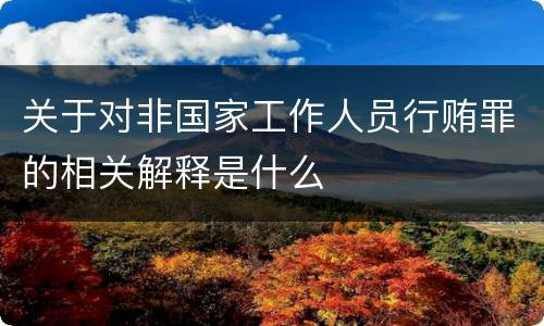 关于对非国家工作人员行贿罪的相关解释是什么