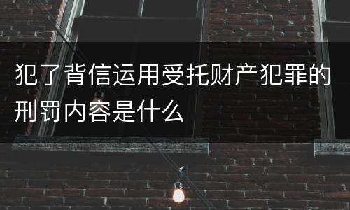 犯了背信运用受托财产犯罪的刑罚内容是什么