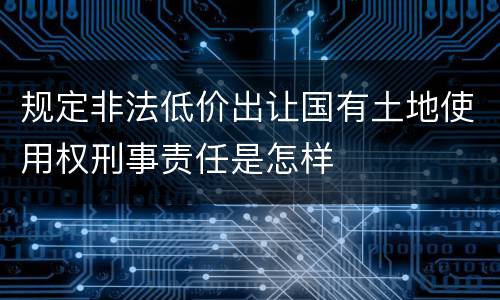 规定非法低价出让国有土地使用权刑事责任是怎样