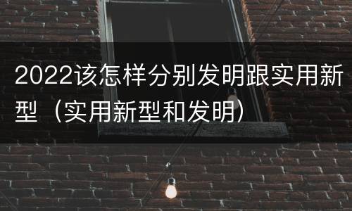 2022该怎样分别发明跟实用新型（实用新型和发明）