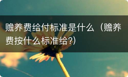 赡养费给付标准是什么（赡养费按什么标准给?）