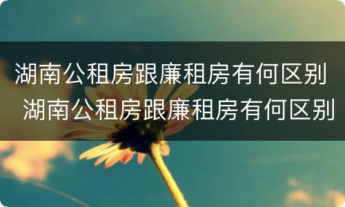 湖南公租房跟廉租房有何区别 湖南公租房跟廉租房有何区别呢