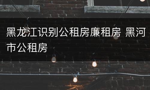 黑龙江识别公租房廉租房 黑河市公租房