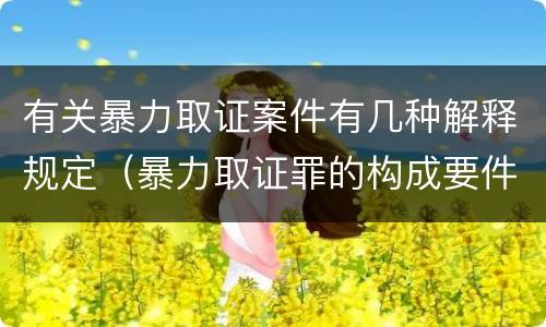 有关暴力取证案件有几种解释规定（暴力取证罪的构成要件）