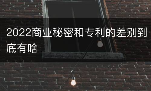 2022商业秘密和专利的差别到底有啥