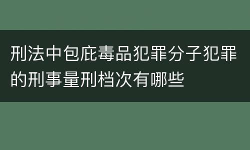 刑法中包庇毒品犯罪分子犯罪的刑事量刑档次有哪些
