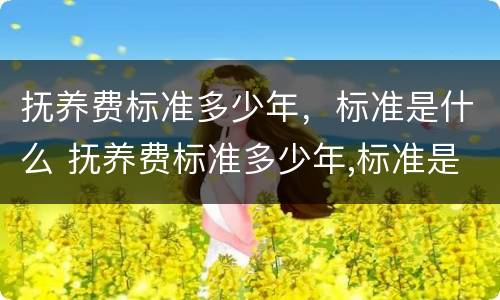 抚养费标准多少年，标准是什么 抚养费标准多少年,标准是什么样的