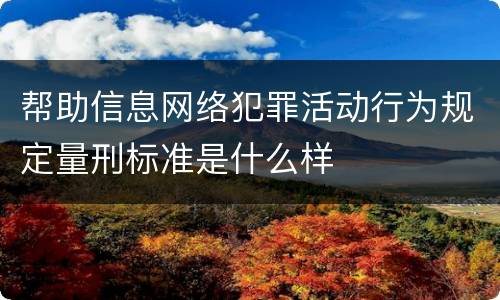 帮助信息网络犯罪活动行为规定量刑标准是什么样