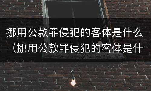 挪用公款罪侵犯的客体是什么（挪用公款罪侵犯的客体是什么行为）