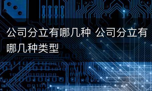 公司分立有哪几种 公司分立有哪几种类型