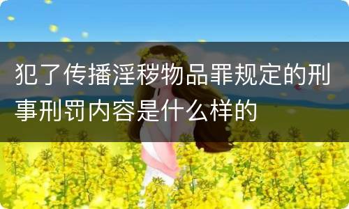 犯了传播淫秽物品罪规定的刑事刑罚内容是什么样的