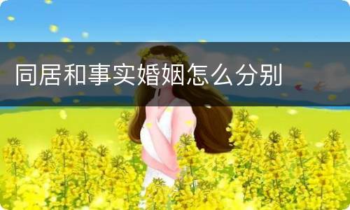 同居和事实婚姻怎么分别