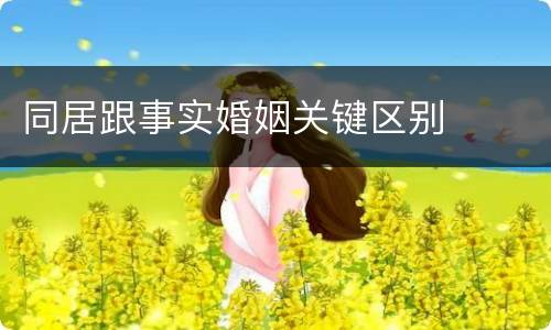 同居跟事实婚姻关键区别