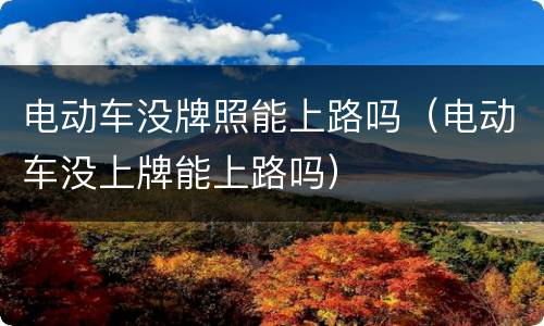 电动车没牌照能上路吗（电动车没上牌能上路吗）