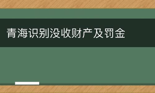 青海识别没收财产及罚金