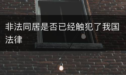 非法同居是否已经触犯了我国法律