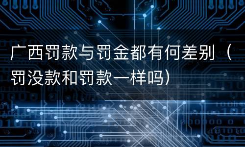 广西罚款与罚金都有何差别（罚没款和罚款一样吗）