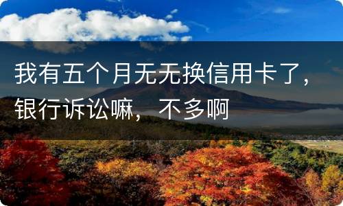 我有五个月无无换信用卡了，银行诉讼嘛，不多啊