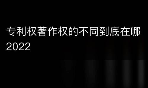 专利权著作权的不同到底在哪2022