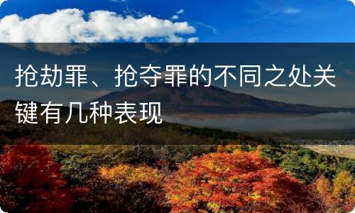抢劫罪、抢夺罪的不同之处关键有几种表现