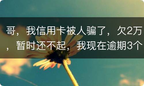 哥，我信用卡被人骗了，欠2万，暂时还不起，我现在逾期3个月了？我会不会坐牢。