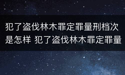 犯了盗伐林木罪定罪量刑档次是怎样 犯了盗伐林木罪定罪量刑档次是怎样划分的