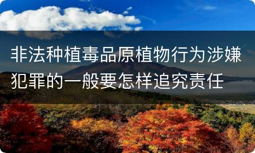 非法种植毒品原植物行为涉嫌犯罪的一般要怎样追究责任